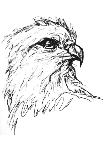 Disegno 22